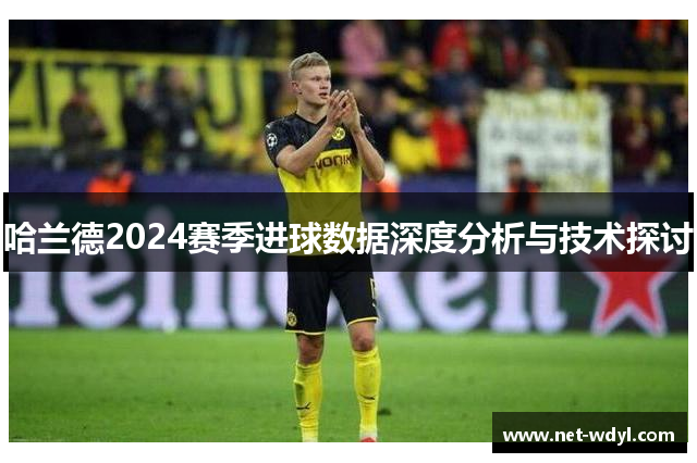 哈兰德2024赛季进球数据深度分析与技术探讨