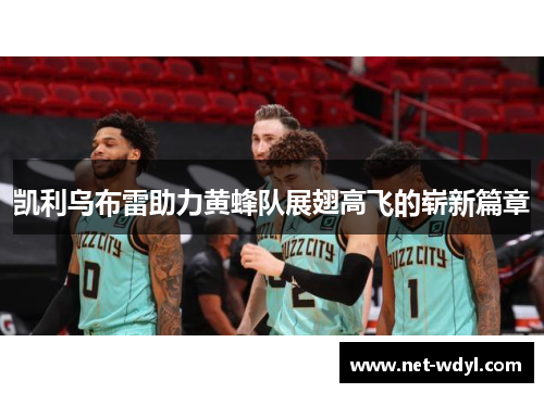 凯利乌布雷助力黄蜂队展翅高飞的崭新篇章 凯利乌布雷助力黄蜂队展翅高飞的崭新篇章