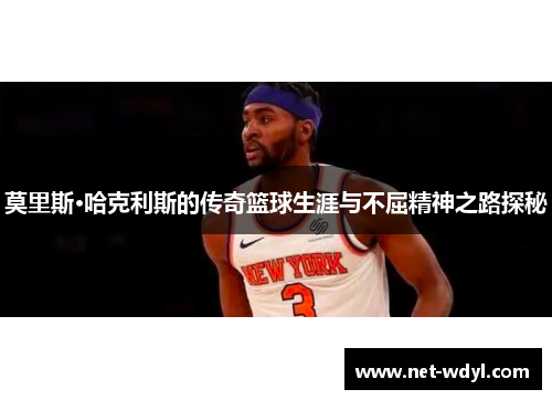 莫里斯·哈克利斯的传奇篮球生涯与不屈精神之路探秘 莫里斯·哈克利斯的传奇篮球生涯与不屈精神之路探秘