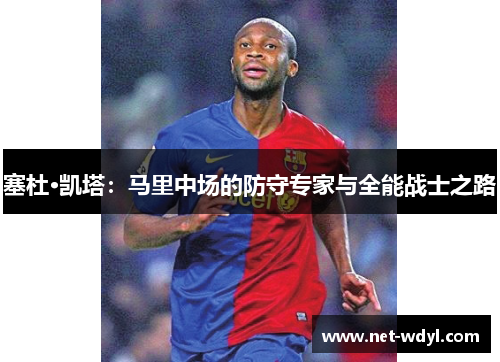 塞杜·凯塔：马里中场的防守专家与全能战士之路