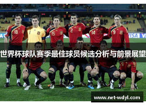 世界杯球队赛季最佳球员候选分析与前景展望