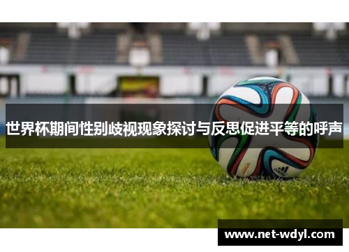 世界杯期间性别歧视现象探讨与反思促进平等的呼声