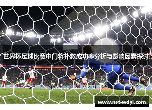 世界杯足球比赛中门将扑救成功率分析与影响因素探讨