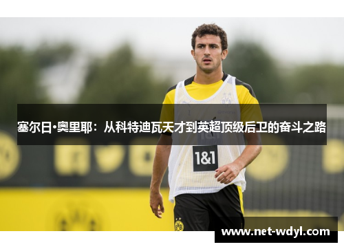 塞尔日·奥里耶:从科特迪瓦天才到英超顶级后卫的奋斗之路 塞尔日·奥里耶:从科特迪瓦天才到英超顶级后卫的奋斗之路