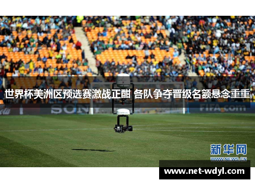 世界杯美洲区预选赛激战正酣 各队争夺晋级名额悬念重重