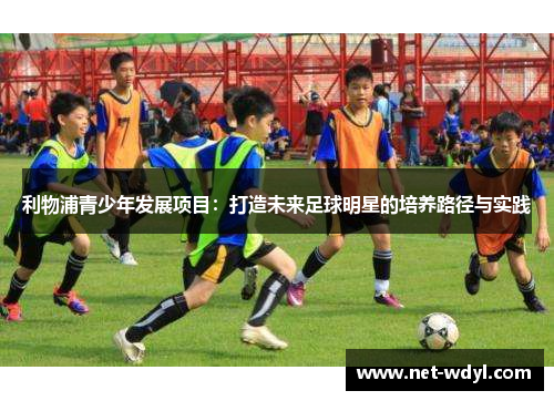 利物浦青少年发展项目:打造未来足球明星的培养路径与实践 利物浦青少年发展项目:打造未来足球明星的培养路径与实践