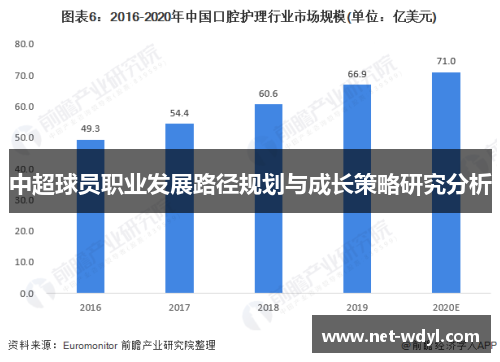 中超球员职业发展路径规划与成长策略研究分析