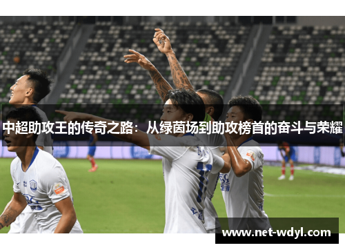 中超助攻王的传奇之路：从绿茵场到助攻榜首的奋斗与荣耀