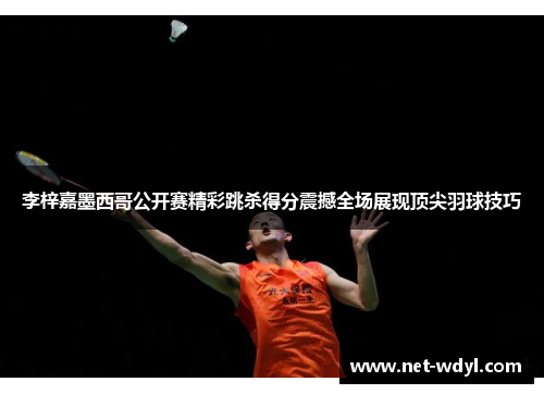 李梓嘉墨西哥公开赛精彩跳杀得分震撼全场展现顶尖羽球技巧