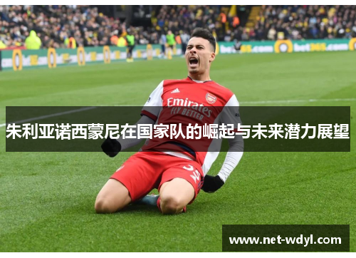 朱利亚诺西蒙尼在国家队的崛起与未来潜力展望 朱利亚诺西蒙尼在国家队的崛起与未来潜力展望