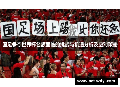 国足争夺世界杯名额面临的挑战与机遇分析及应对策略