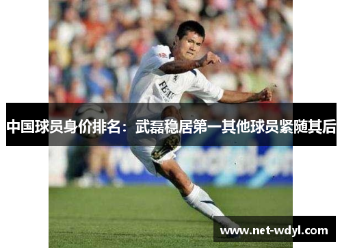 中国球员身价排名：武磊稳居第一其他球员紧随其后