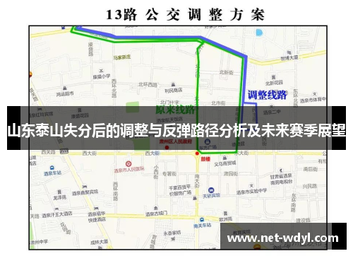山东泰山失分后的调整与反弹路径分析及未来赛季展望 山东泰山失分后的调整与反弹路径分析及未来赛季展望