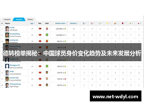 德转榜单揭秘：中国球员身价变化趋势及未来发展分析