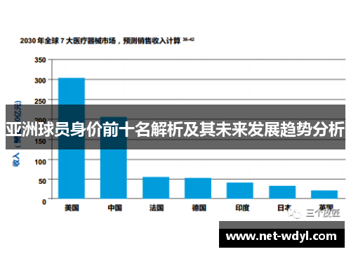 亚洲球员身价前十名解析及其未来发展趋势分析 亚洲球员身价前十名解析及其未来发展趋势分析