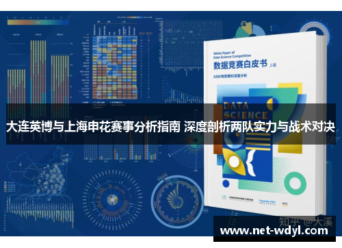 大连英博与上海申花赛事分析指南 深度剖析两队实力与战术对决 大连英博与上海申花赛事分析指南 深度剖析两队实力与战术对决