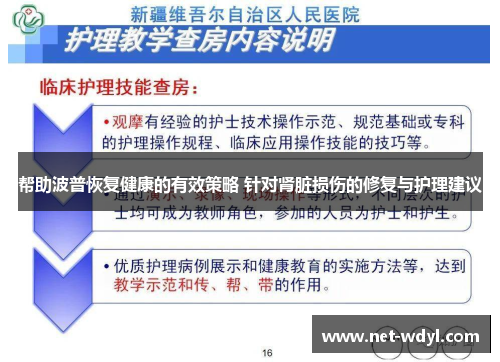 帮助波普恢复健康的有效策略 针对肾脏损伤的修复与护理建议