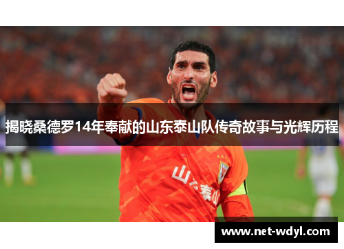 揭晓桑德罗14年奉献的山东泰山队传奇故事与光辉历程 揭晓桑德罗14年奉献的山东泰山队传奇故事与光辉历程