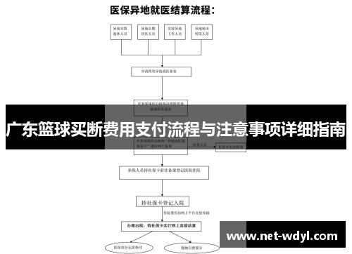 广东篮球买断费用支付流程与注意事项详细指南