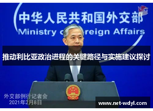 推动利比亚政治进程的关键路径与实施建议探讨