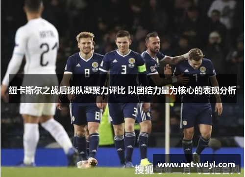 纽卡斯尔之战后球队凝聚力评比 以团结力量为核心的表现分析