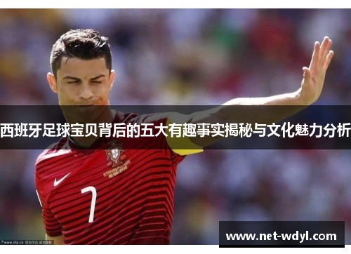 西班牙足球宝贝背后的五大有趣事实揭秘与文化魅力分析