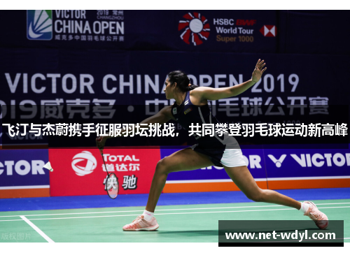 飞汀与杰蔚携手征服羽坛挑战，共同攀登羽毛球运动新高峰