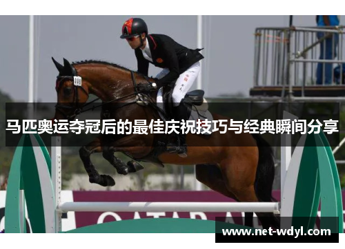 马匹奥运夺冠后的最佳庆祝技巧与经典瞬间分享