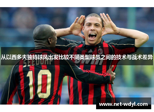 从以西多夫独特球风出发比较不同类型球员之间的技术与战术差异