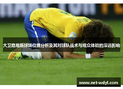 大卫路易斯球场位置分析及其对球队战术与观众体验的深远影响 大卫路易斯球场位置分析及其对球队战术与观众体验的深远影响