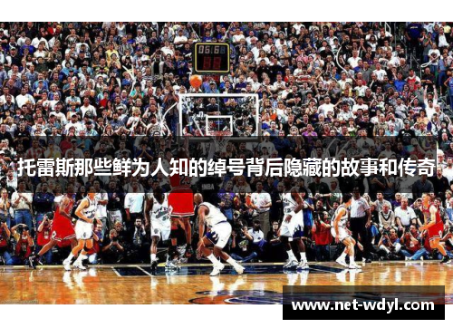 托雷斯那些鲜为人知的绰号背后隐藏的故事和传奇