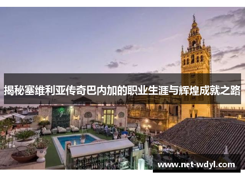 揭秘塞维利亚传奇巴内加的职业生涯与辉煌成就之路 揭秘塞维利亚传奇巴内加的职业生涯与辉煌成就之路